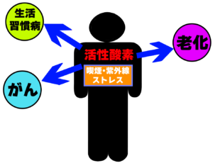 下赤塚（練馬区田柄）の歯医者、藤山歯科クリニックで、コーヒーと歯周病の関係性を解説